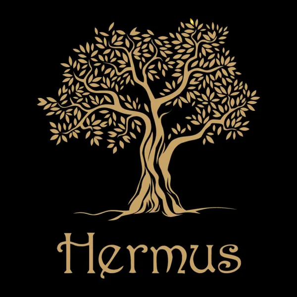 hermus-6a27cc3cac765